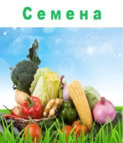 Семена  